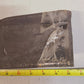 Rotary Cutter Mower Blade S8589 | 20-1/2" x 4" x 1" | H806