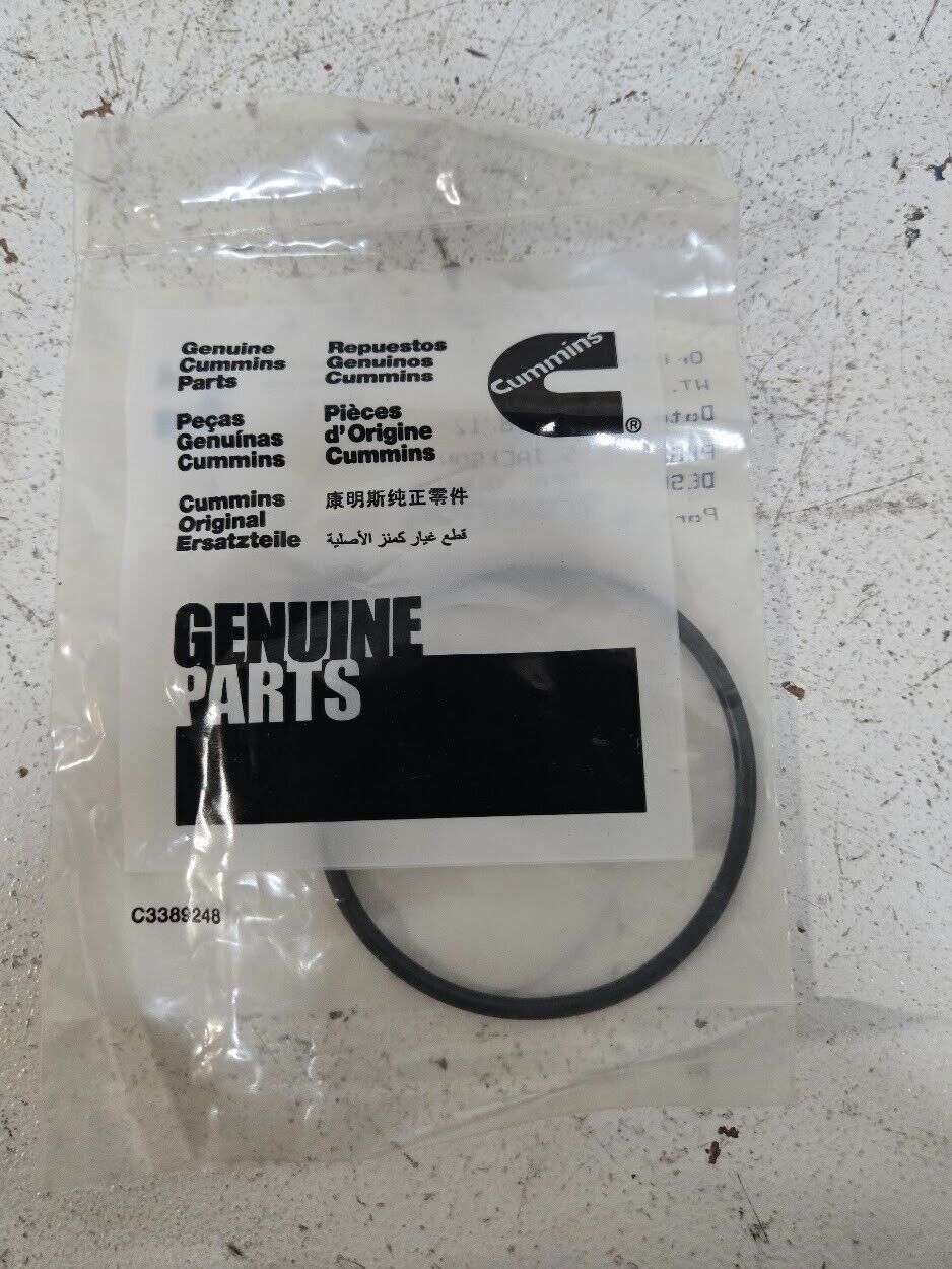 13 Quantity of Cummins O Ring Seal 3089025 (13 Quantity)