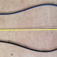 Gates Poly Chain Carbon Belt 14MGT-2828-37 | 274H09
