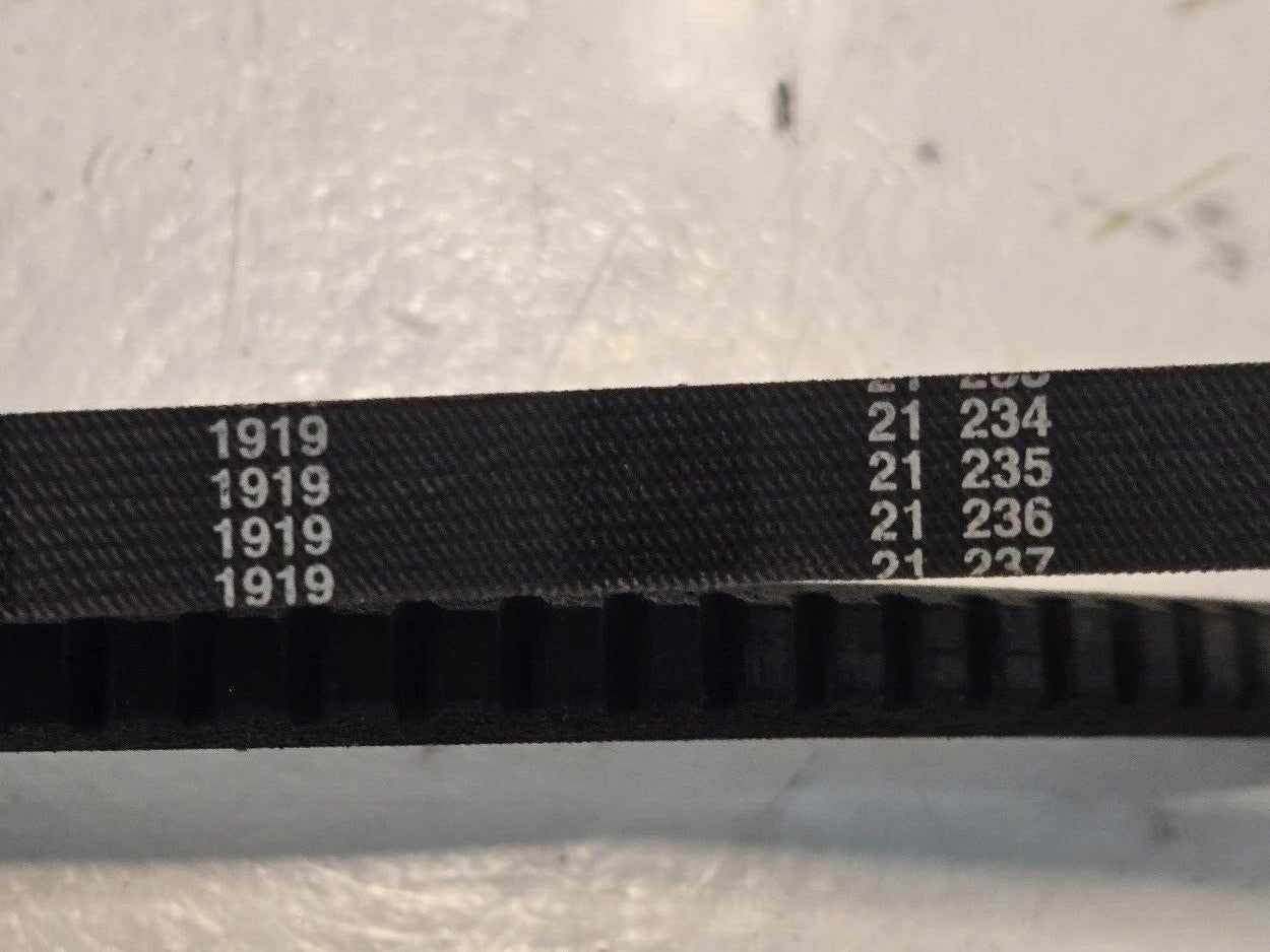 Agco Fan Belt 186976M1 for Massey Ferguson | 49" Belt 1/2" Wide | 1919