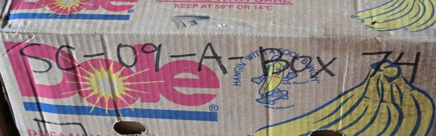 34 Quantity of TPI Bearings 6000 | 26 mm OD x 10 mm Bore x 8 mm Wide (34 Qty)