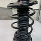 Suspension Strut and Coil Spring 0831900-2109-120