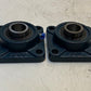 2 Quantity of FAG F205 4-Bolt Flanges w/ 56205-015 Insert Bearings (2 Quantity)