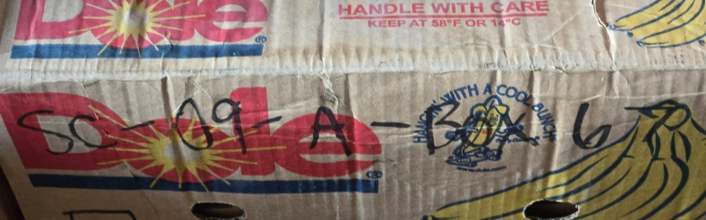 7 Quantity of Ball Bearings 6005RS | 47 mm OD x 25 mm OD x 12 mm Thick (7 Qty)