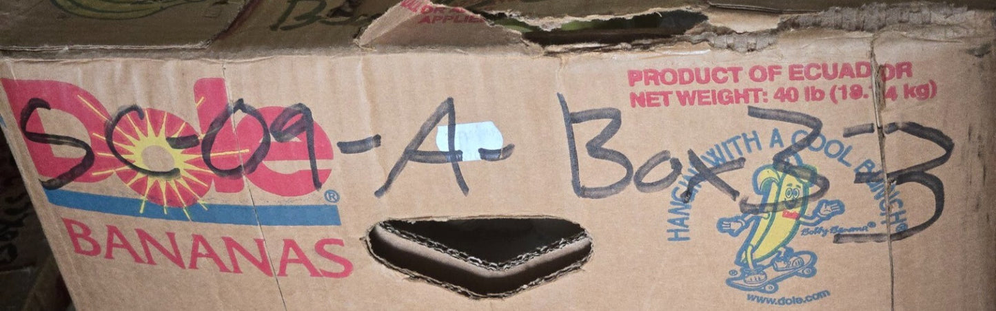 4 Quantity of Ford Motorcraft C4TZ-11057-A Starter Brush Sets | SB-141 (4 Qty)