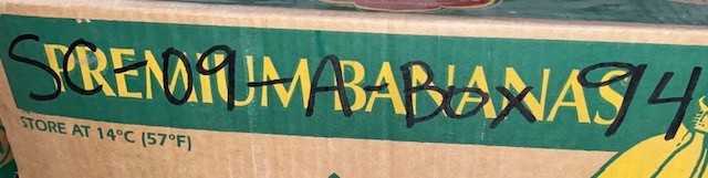 5 Quantity of ZYZ Angular Contact Ball Bearings 7305A, 7305B 25x62x17mm (5 Qty)