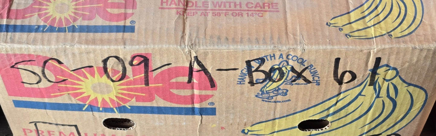 Hyundai Track Master Pin | 38mm Diameter | 8-11/16" / 220 mm Long | 4.25 Lbs