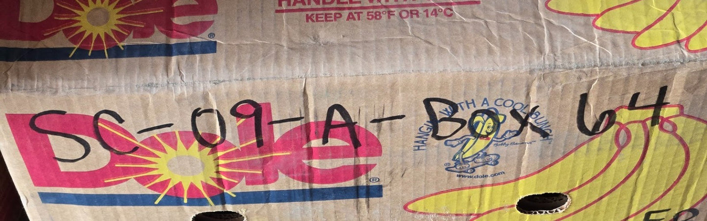 IPTCI Metal Shielded Ball Bearing NAA206-18L3SP | 62 mm OD x 28.5 mm Bore