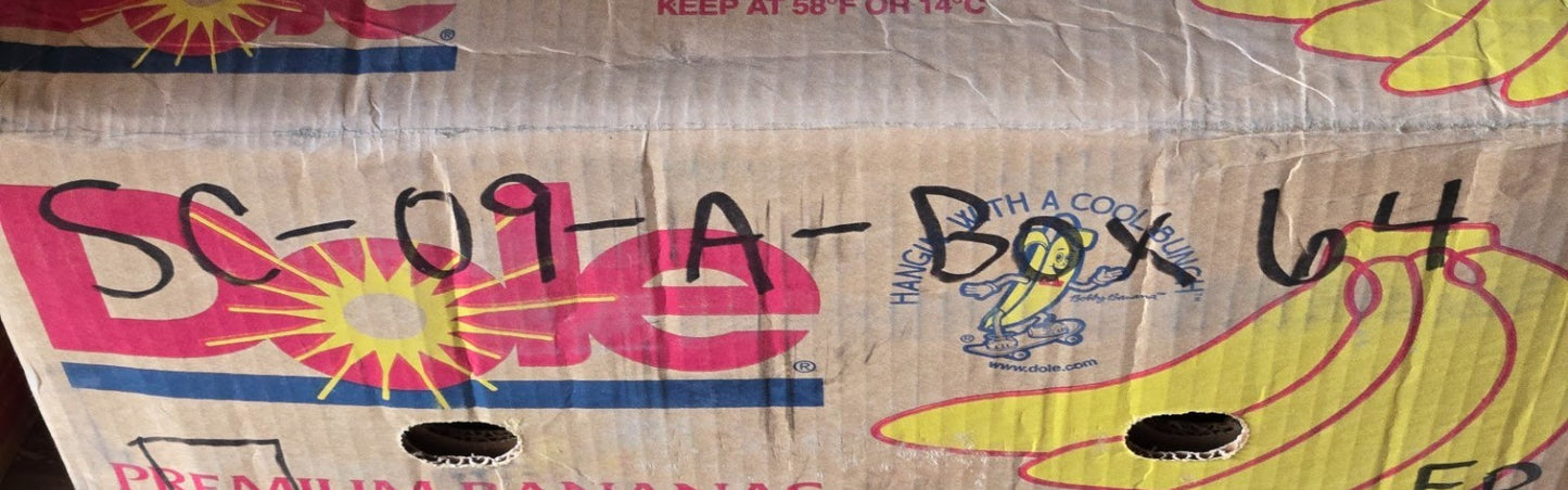 ARE Metal Shielded Ball Bearing 88128 | 80mm OD x 38.9 mm Bore x 27.4 mm Thick