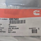 Cummins Luck Nut 4007603