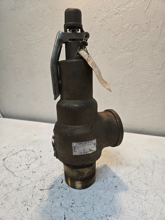 Kunkle Valve 6010JJ01-AM | 2 1/2" 4260 LB/HR