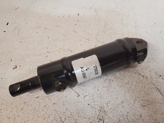 Hydraulic Cylinder AU-0667 | 379030 L262463