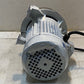 LEM Products 4803 Pump and Motor Assembly