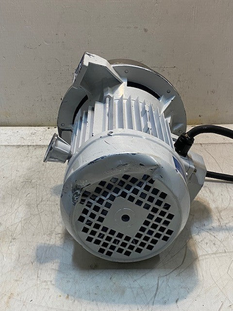 LEM Products 4803 Pump and Motor Assembly