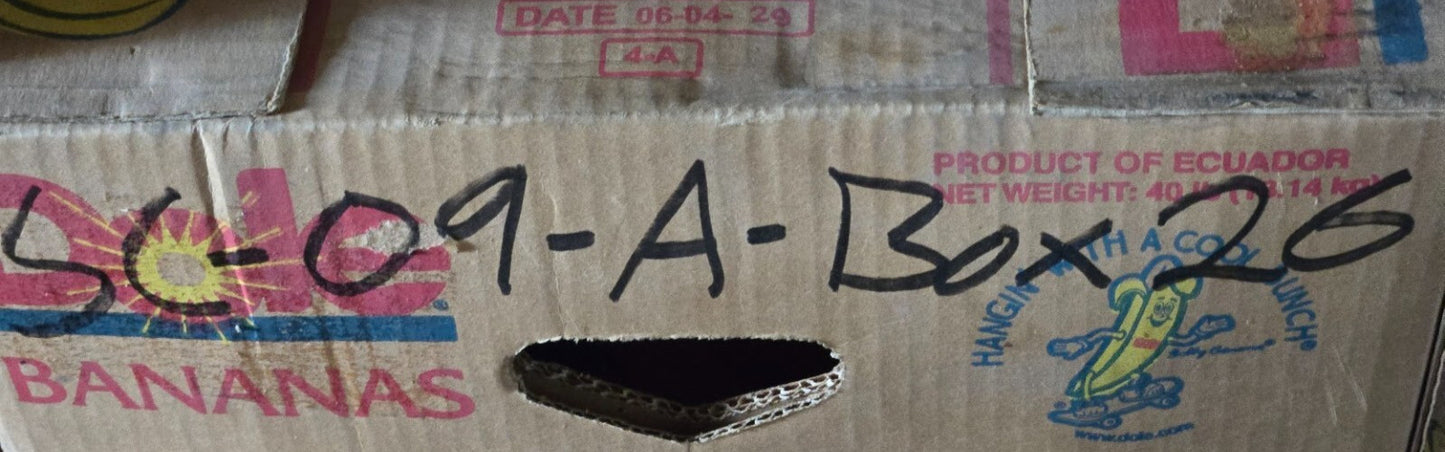 Linear Bearing 1.5 in ID | 5-5/8 in Length for Thomson DS24 Die Set Ball Bushing