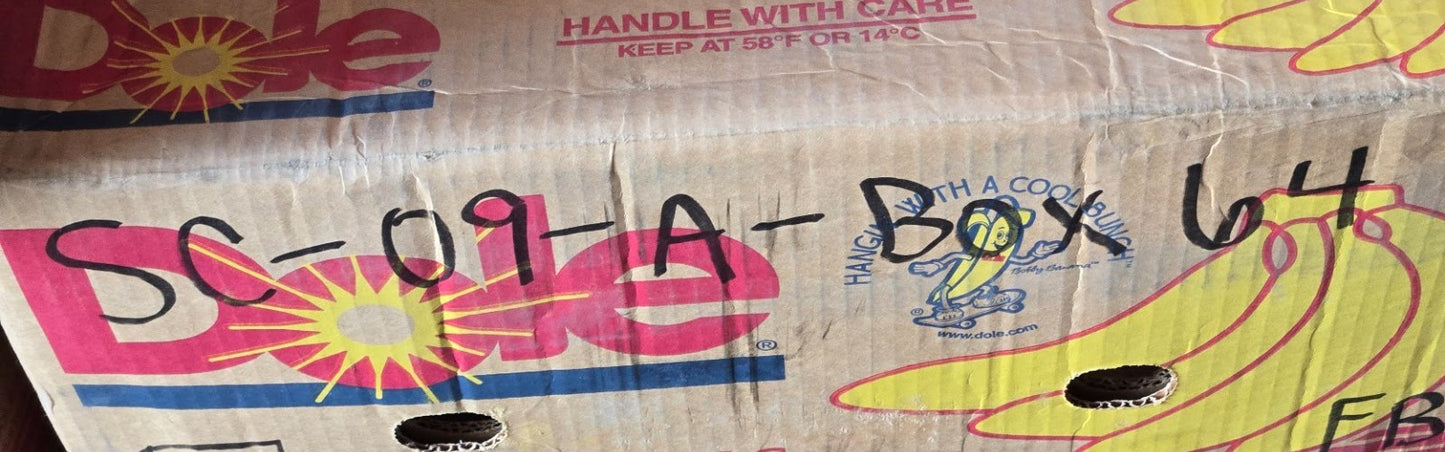 Tapered Roller Bearing 30219 | 95 mm Bore 6-11/16" Cup Diameter 36mm Thick