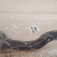 Tie Rod End ES800032 | 034GD