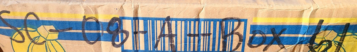 Hydraulic Cylinder 00262252 | BDEB-07