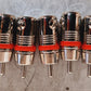 10 Qty. of Planet Waves RCA Male Connectors BCRCAP10 (10 Qty)