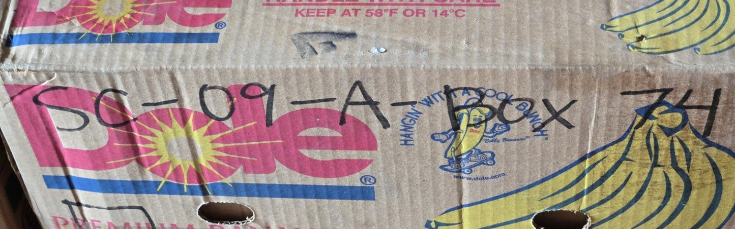 10 Quantity of Ball Bearings 56200RS | 30 mm OD 10 mm Bore 9 mm Wide (10 Qty)