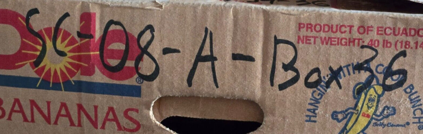 Lincoln Industrial Power Cord Reel 277513 Single Receptacle Approximately 50'