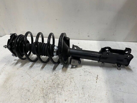 AAA Complete Strut With Springs and Mounts D172540 | 210705