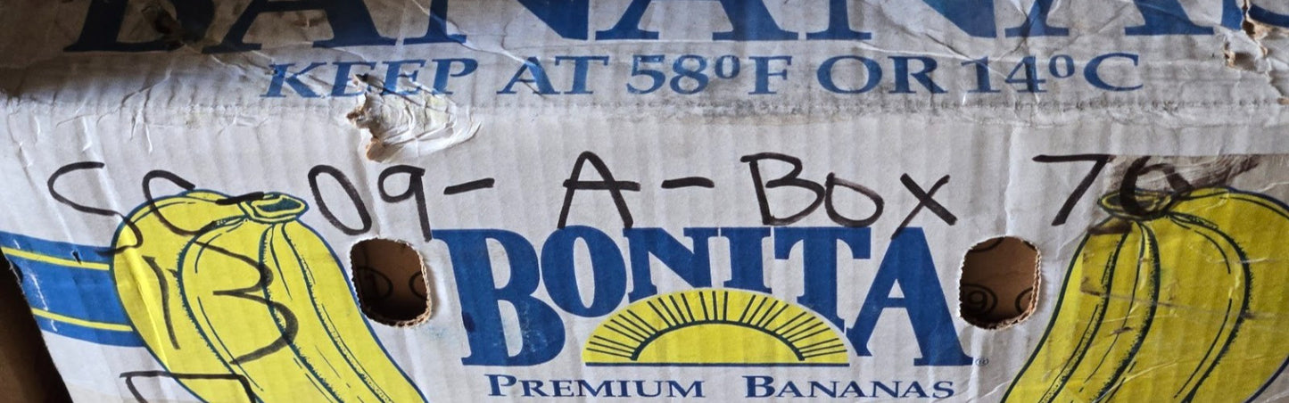 10 Quantity of Peer Ball Bearings 9502H | 1-3/8" OD x 5/8" Bore (10 Quantity)