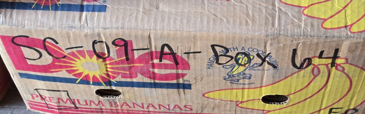 4 Quantity of SST Ball Bearings 6203-2RS-5/8C3 | 40 mm OD 5/8" Bore (4 Qty)