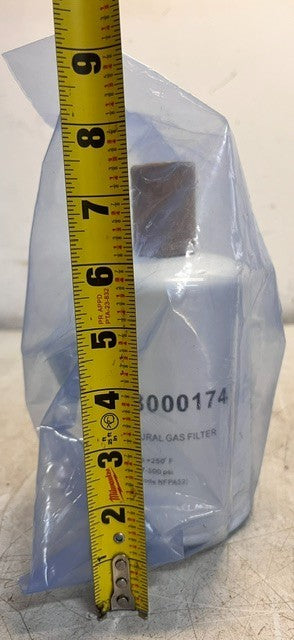 Hexagon Agility Genuine Parts Natural Gas Filter 68000174 | 87-300Psi
