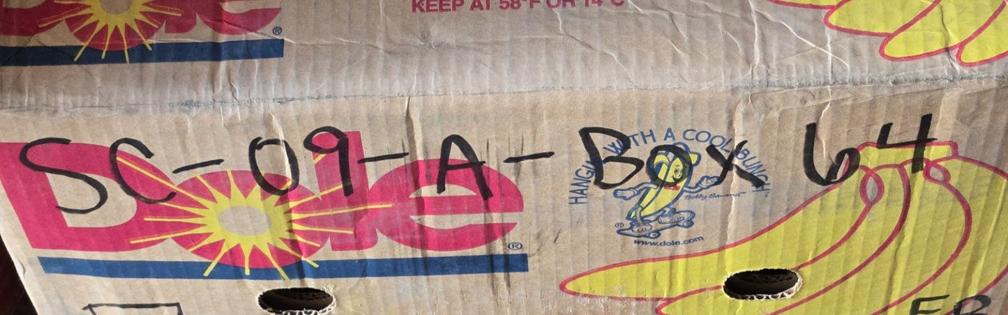 INA Needle Roller Bearing NA 4906.2RS | 47 mm OD x 30 mm Bore x 18 mm Thick