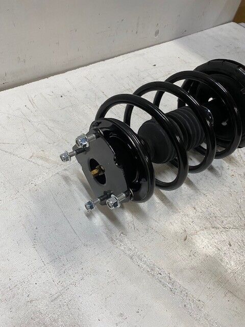 AAA Complete Strut With Springs and Mounts D172540 | 210705