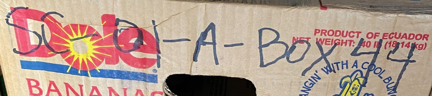 2 Quantity of Merrill 810 Series Red Brass Foot Valves FV100 (2 Quantity)