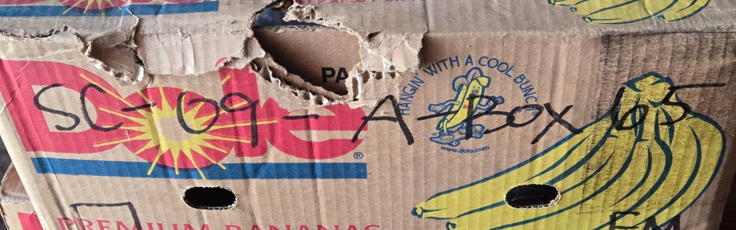 7 Quantity of SST Ball Bearings 6303RS | 47 mm OD 17 mm Bore 14 mm Thick (7 Qty)