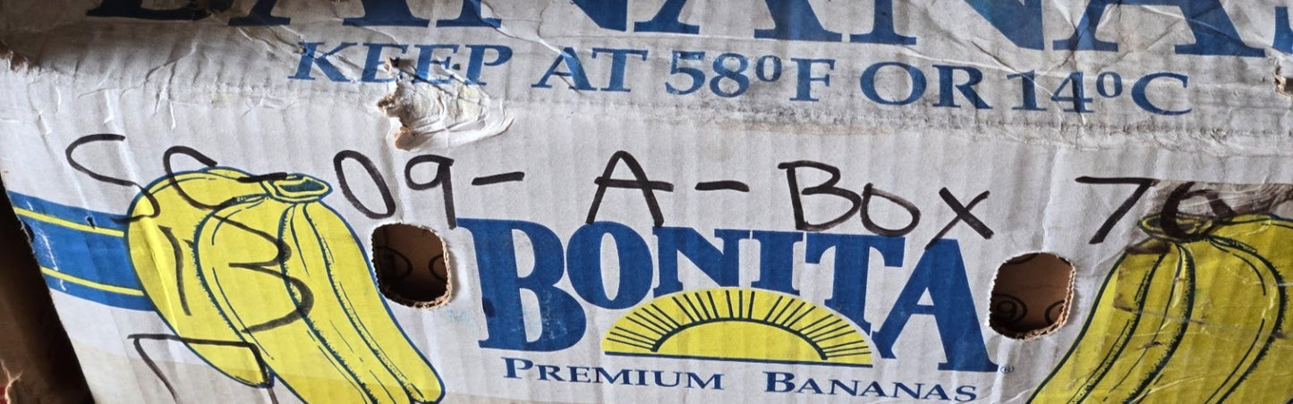 Deep Groove Ball Bearing S6311RS | 120 mm OD x 55 mm Bore x 29 mm Thick