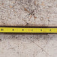 Transmision Input Shaft 13.5"