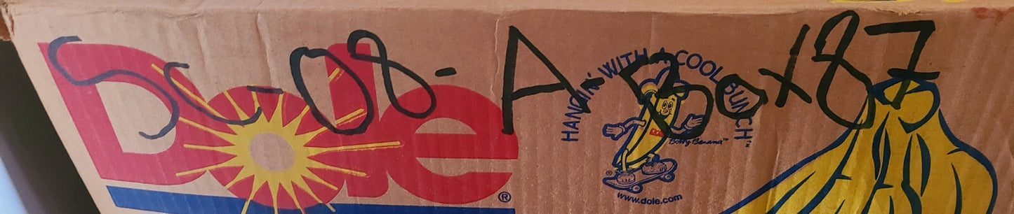 Bower Cylindrical Roller Bearing MUB1307UBM | 19EV0521