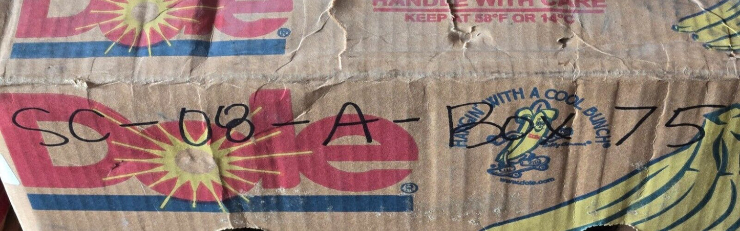 10 Quantity of Delta Systems 2BN Plunger Switches | 6700-01B (10 Quantity)