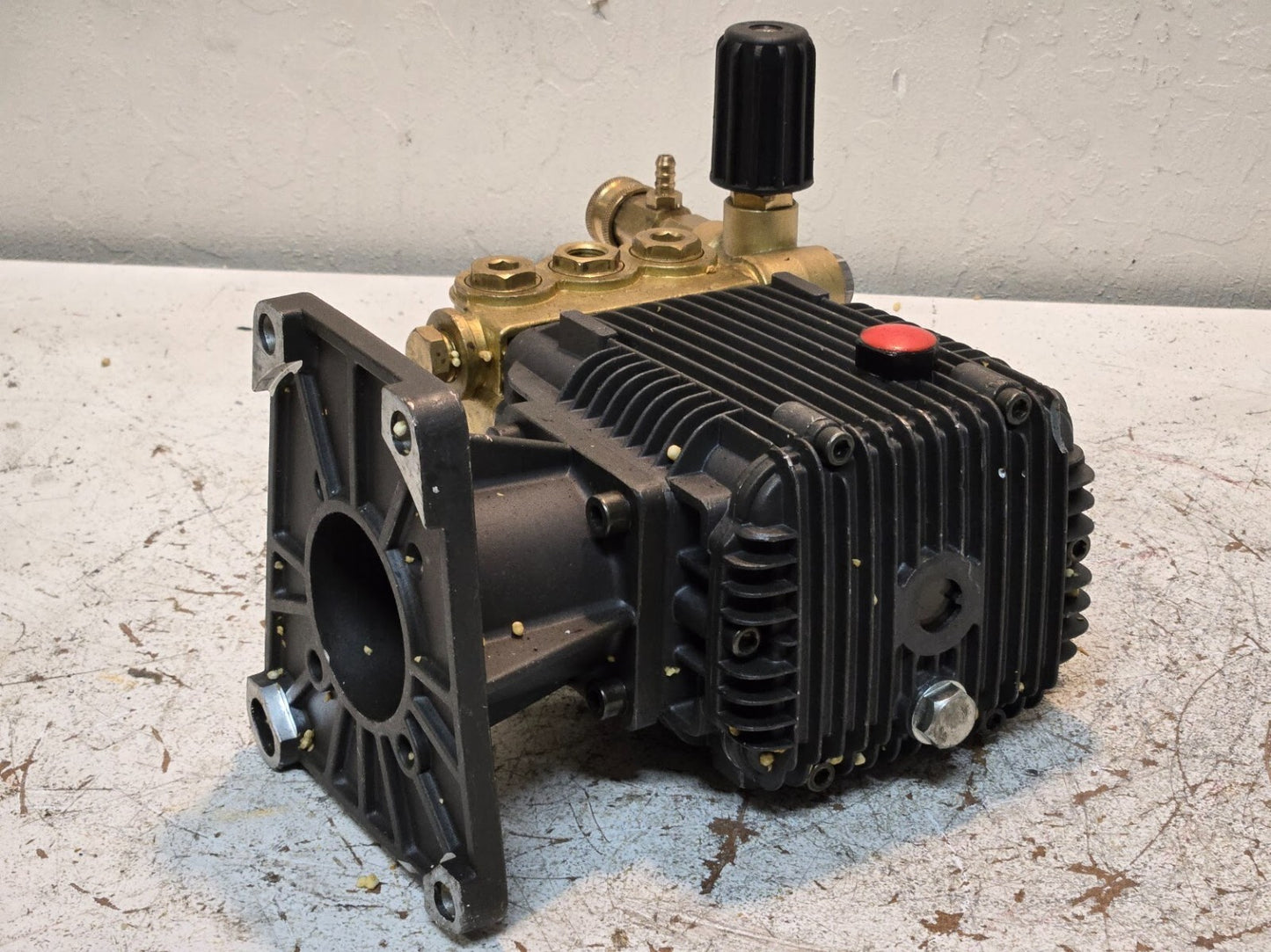 Power Pressure Washer Pump 9062419