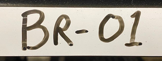 HBC Controls Solid State Relay Module HBC-410-P | 800-879-7918