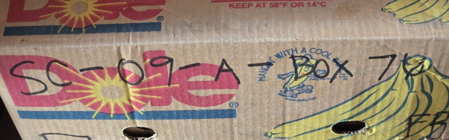 20 Quantity of Pacamor R8V Ball Bearings | 1-1/8" OD x 1/2" Bore (20 Quantity)