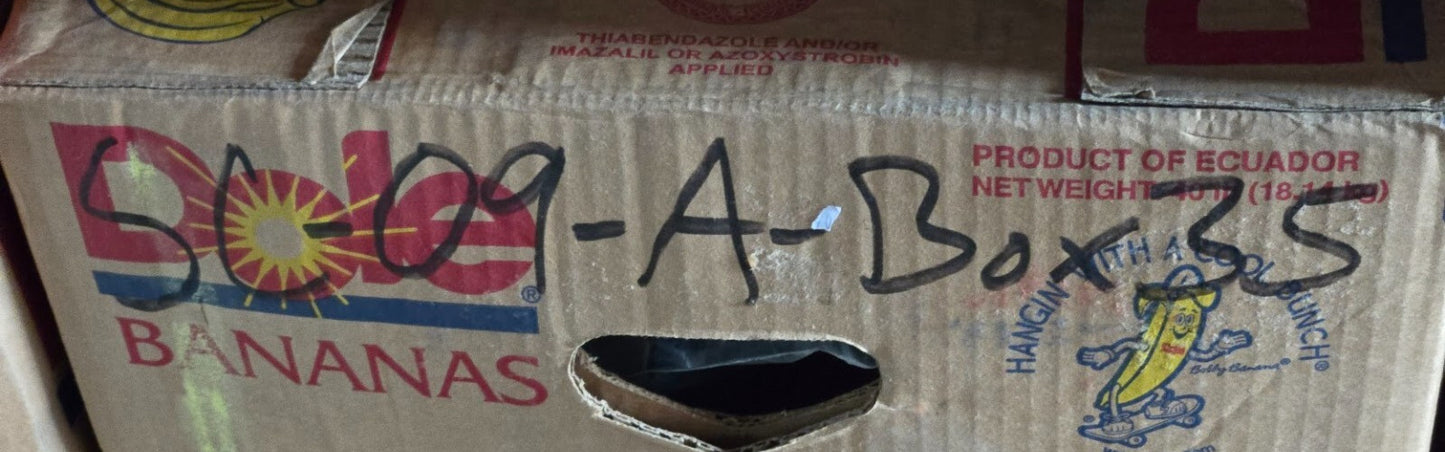 Kaiser Jeep Rear Main Bearing Set 645162 | Group 10-04 | for 4-134 Engines