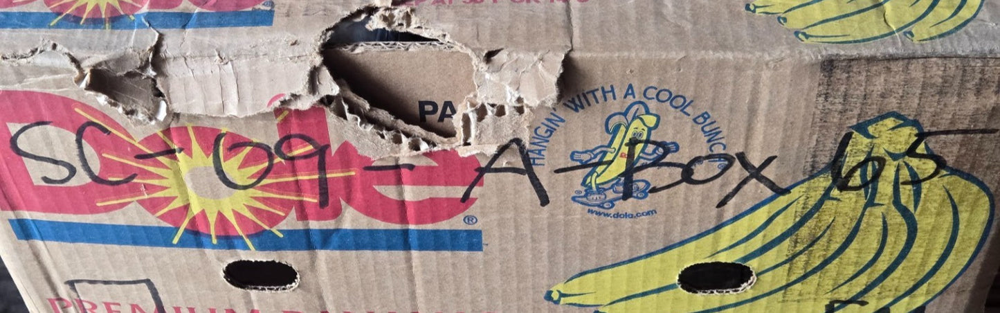 9 Quantity of Tapered Roller Bearing Cones LM11949 | 3/4" Bore (9 Quantity)