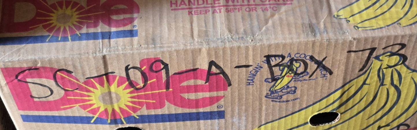 10 Quantity of HXB Ball Bearings 6204-DLRS | 47 mm OD x 20 mm Bore (10 Qty)