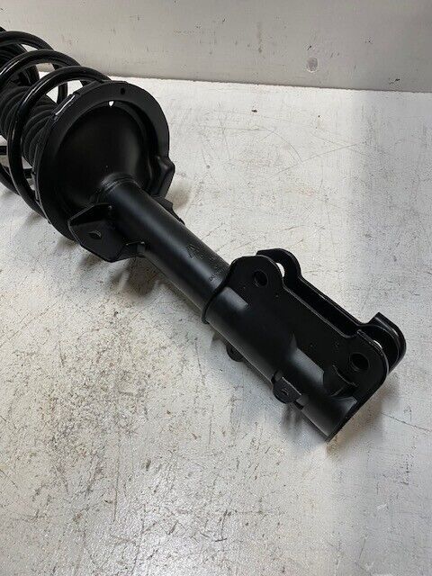 AAA Complete Strut With Springs and Mounts D172540 | 210705