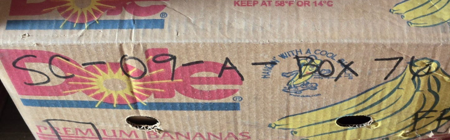 Z-B-F Forklift Mast Bearing MG30-1 | Hi-Cap. | 129 mm OD 50 mm Bore 35 mm Wide