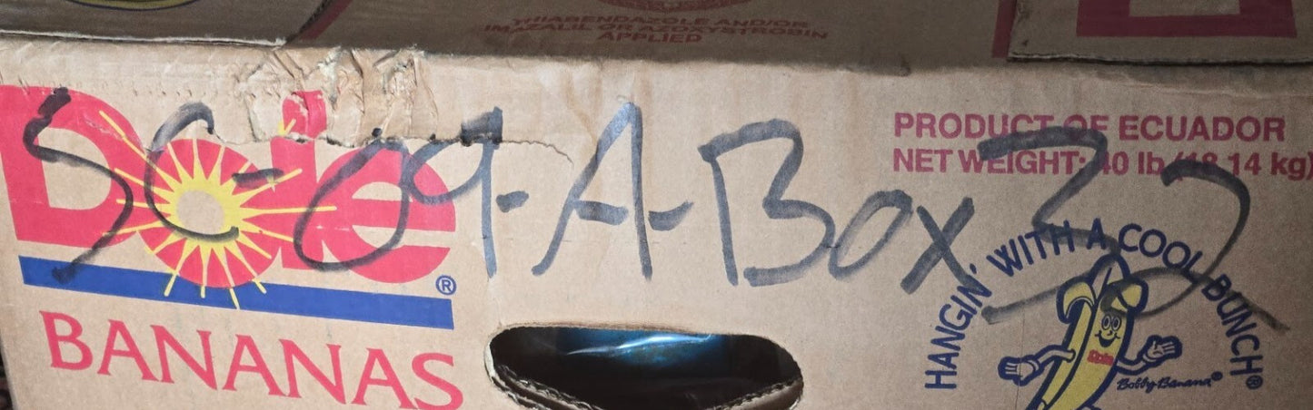 97 Quantity of Ford 8M-2814 Parking Brake Clips for 1949-72 Ford (97 Quantity)