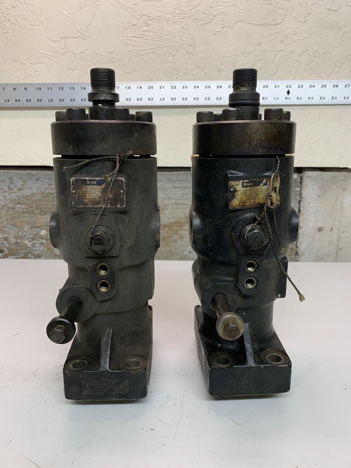 2 Bryce Fuel Injection Pumps CWAB240A0894 (2 Pack) 37-102