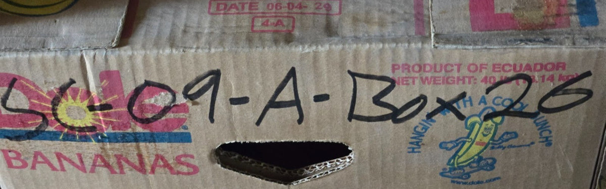 Linear Bearing 1.5 in ID | 5-5/8 in Length for Thomson DS24 Die Set Ball Bushing