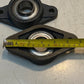 2 Qty of PEER 2-Bolt Flange FT206 Insert Bearing FH206-20 | 31mm Bore (2 Qty)