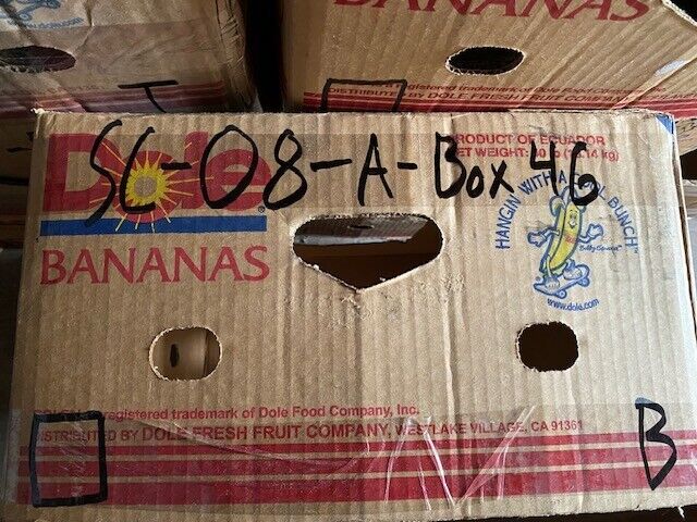 Hydraulic Torque Filter Bowl to 45 FT-LBS | CF401CCZ3S | 14-3/4" L 4-1/2" W